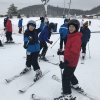 2019 Perfect North